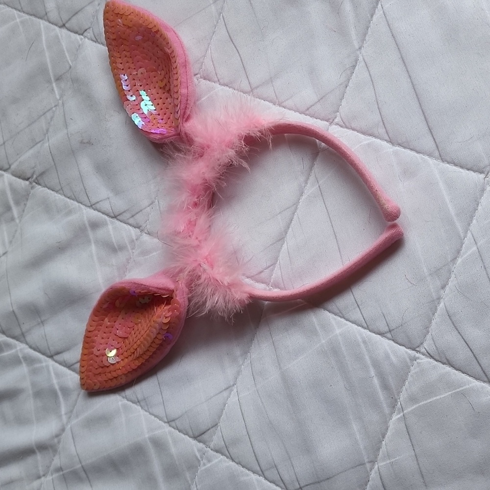 Dog accessories